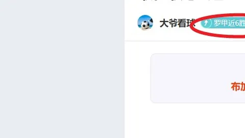 激情对决！实力悬殊的卡迪夫城与巴恩斯利激战正酣！